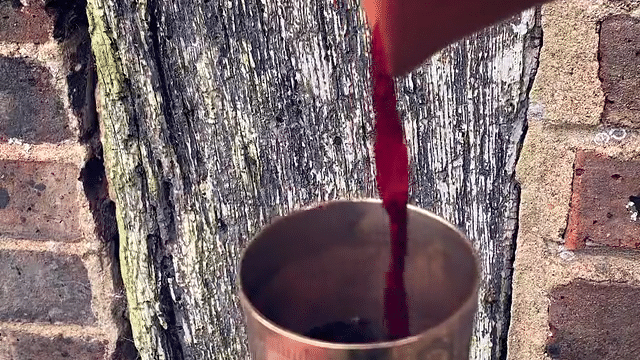 Wine Window – Buchette del vino –&nbsp;2020