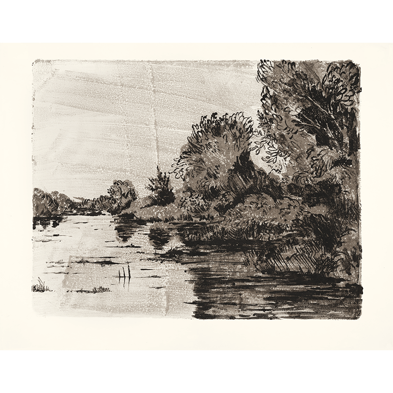 River trees (study)